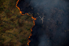 Burning forest in Brazil