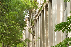 MIT Columns