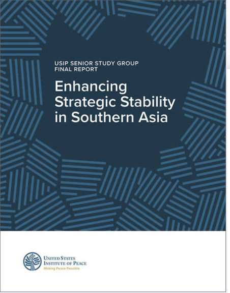 Strategic Stability in South Asia Report