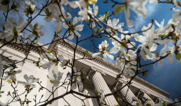 MIT