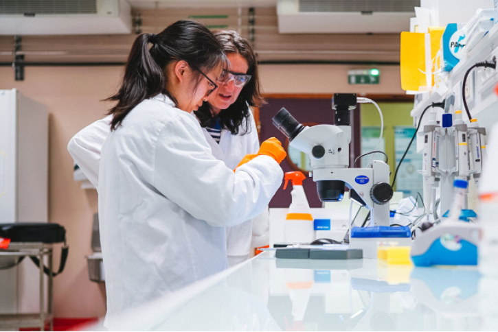 MIT Global Seed Funds catalyze research in over 20 countries