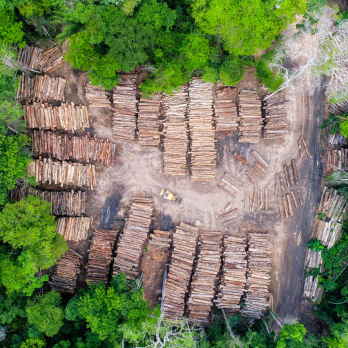 Amazonia